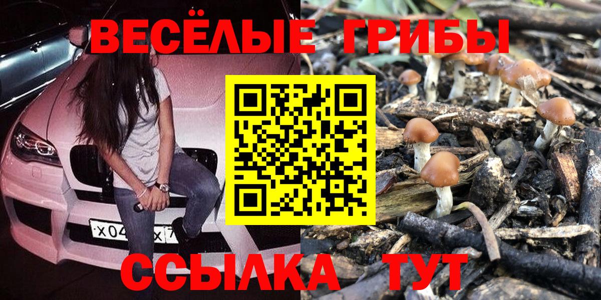 Галлюциногенные грибы мухоморы  Псилоцибиновые грибы мицелий  Архангельск  Вход с VPN 